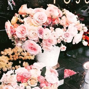 Meet your Posher, Madelyn